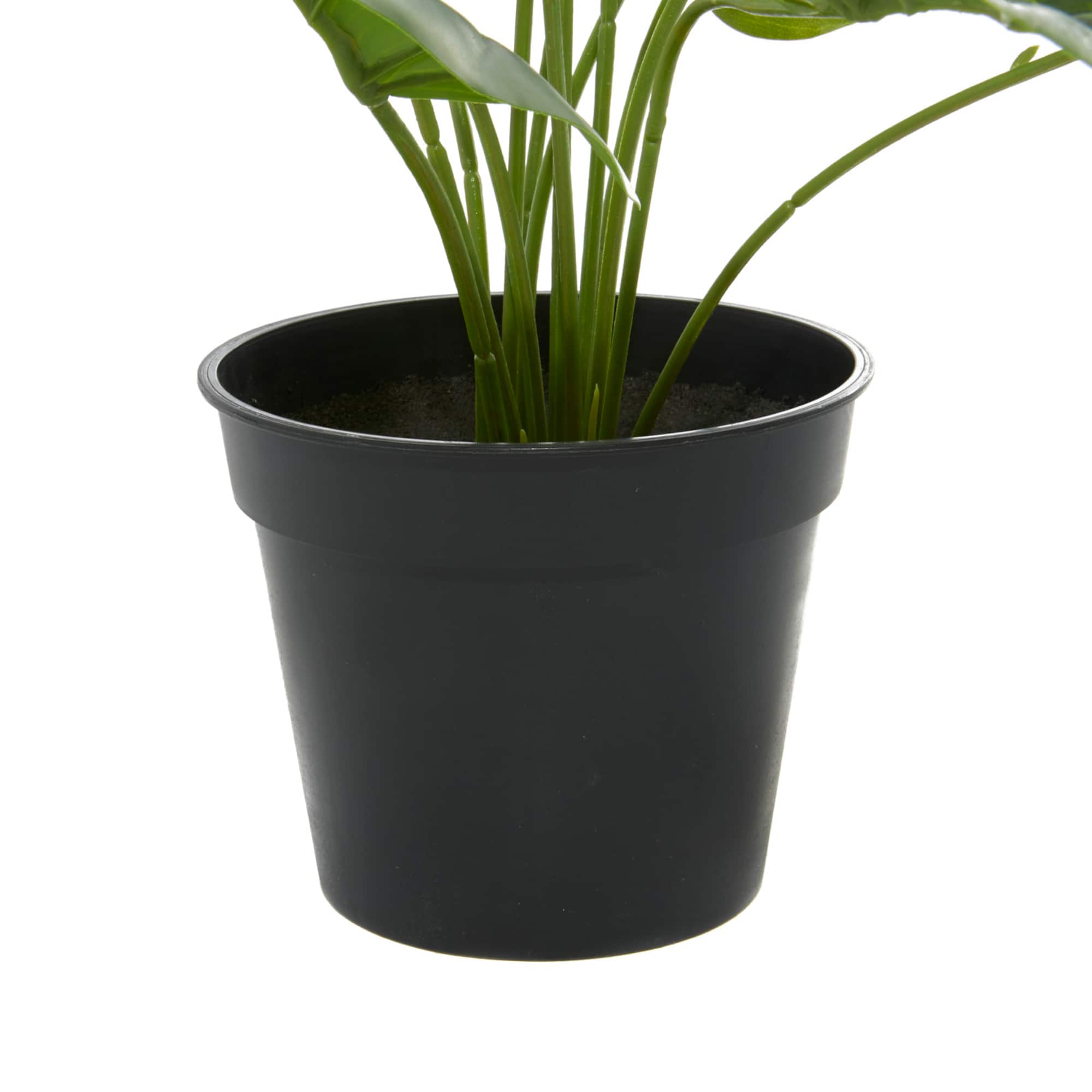 Green Plastic Traditional Artificial Foliage, 17" x 21" x 17"
